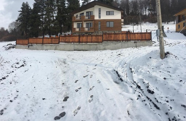 House Near Forest