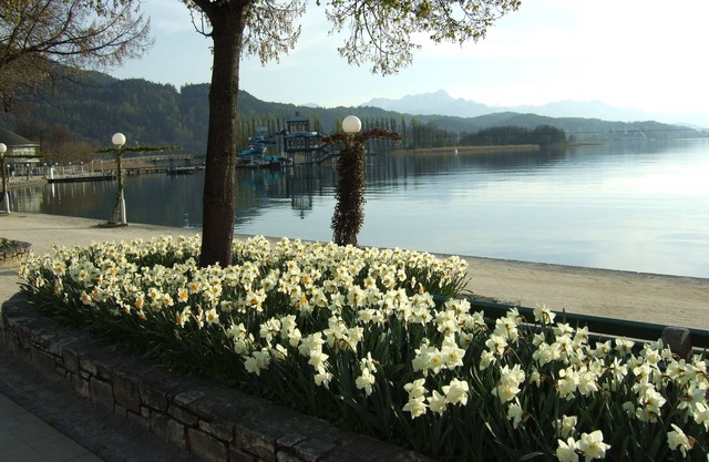 Casa posición tranquila y soleada, a 1,5 km del lago Wörthersee