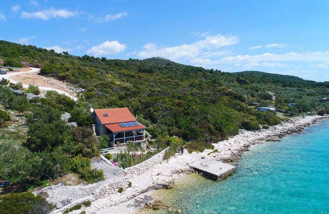 House Starfish (14504-K1) - Pasman