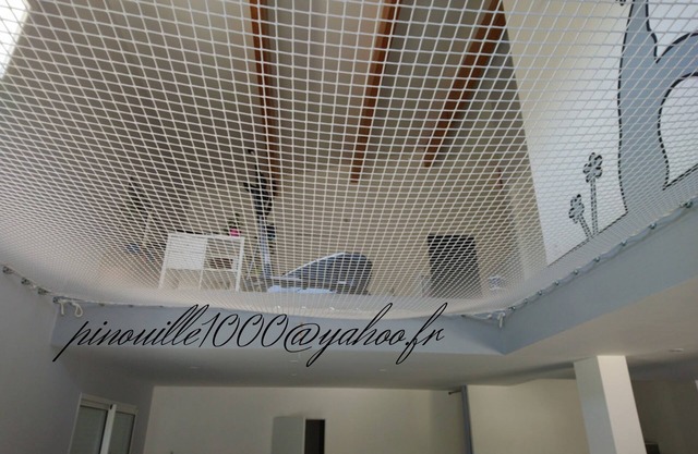Casa rodeada de olivos cerca de la garriga