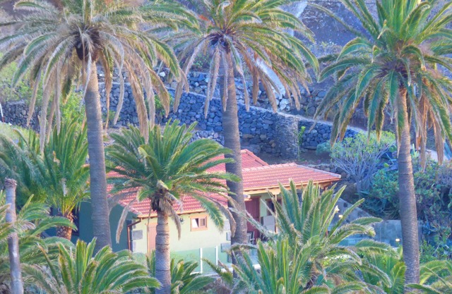 Casa rodeada de palmeras con vistas a la montaña y al mar
