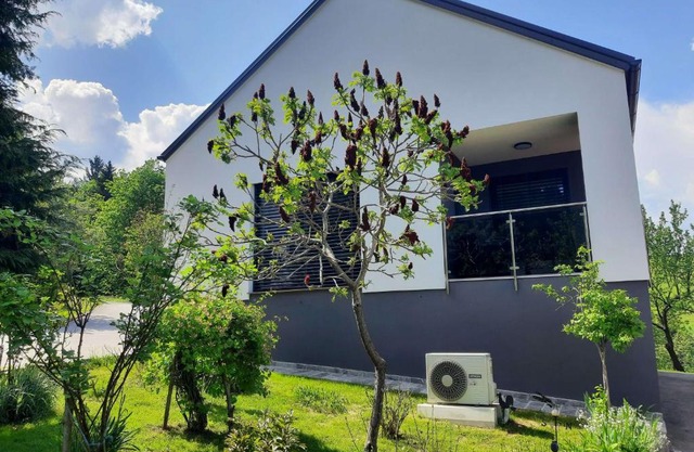 House Under The Maple Tree