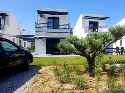 House Viki