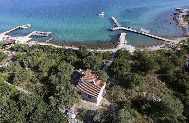 Violeta (23721-K1) - Zizanj - Isla Zizanj