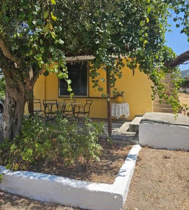 House with a view
