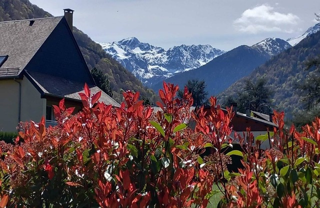 house with garden, 10 minutes walk from the city center and 25 minutes by car from the ski area