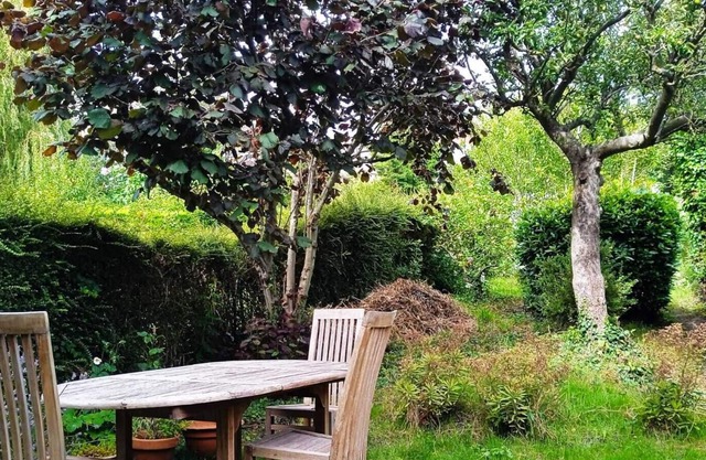 House with garden 6 to 8 people