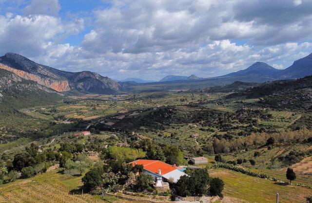 Casa con jardín y barbacoa