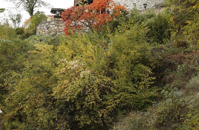 casa con jardín en un auténtico pueblo de montaña, con mucha paz, naturaleza y aire limpio.
