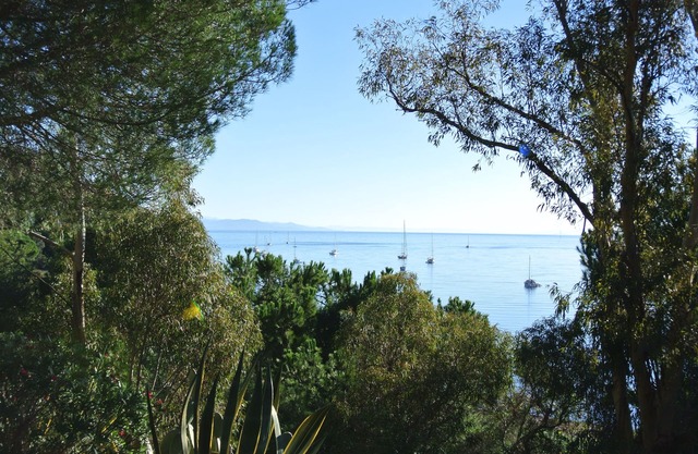 Casa con vista al mar, rodeada de vegetación