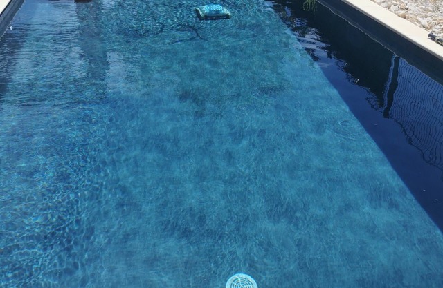 house with swimminig pool