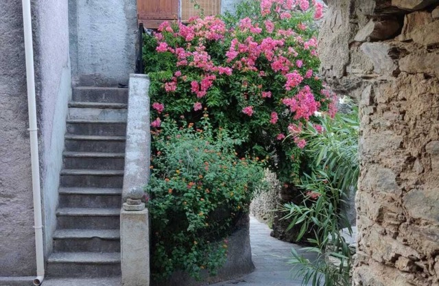 House with view on the island of GIRAGLIA