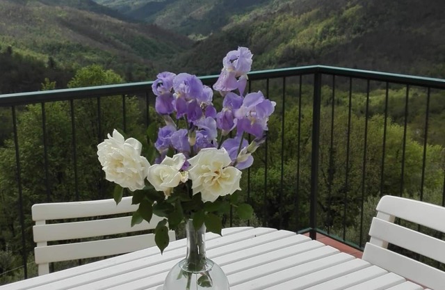 Zignago: Casa Rural - Zignago