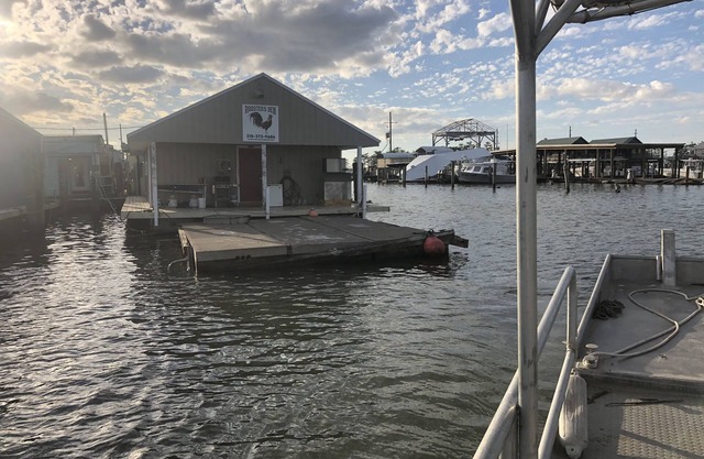 Casa flotante @ Venice Marina (Roosters Den)