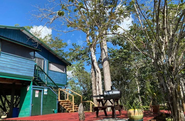 Howler House Amazing Tree House by the river with bikes and canoe