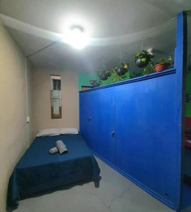 Huerto en el Barrio
