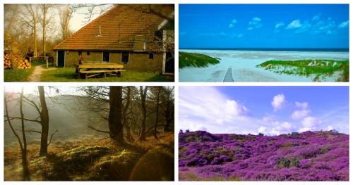 Huisje Egypte op Terschelling