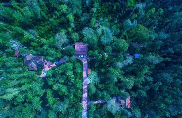 Humble Nest Luxury Resort Coorg