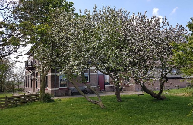 Hunsingo Texel