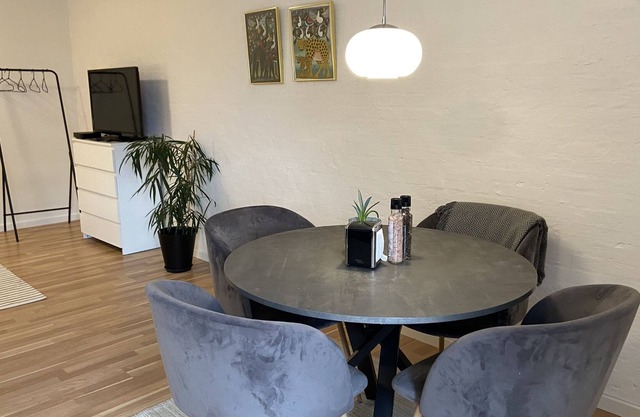 Hyggelig Etværelses Lejlighed på Damgaarden