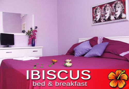 Ibiscus B&B