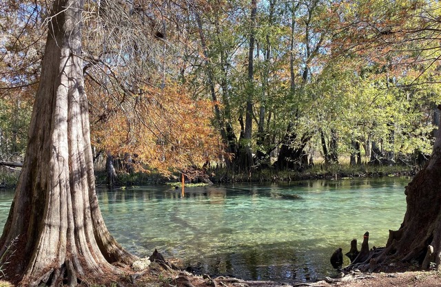 Tubería los ríos Ichetucknee y Santa Fe
