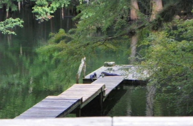 ICHETUCKNEE RIVER - Riverfront on the Crystal Clear Ichetucknee River