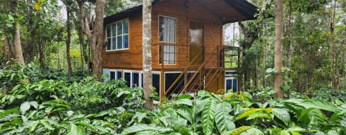 Iciri Farm Resort