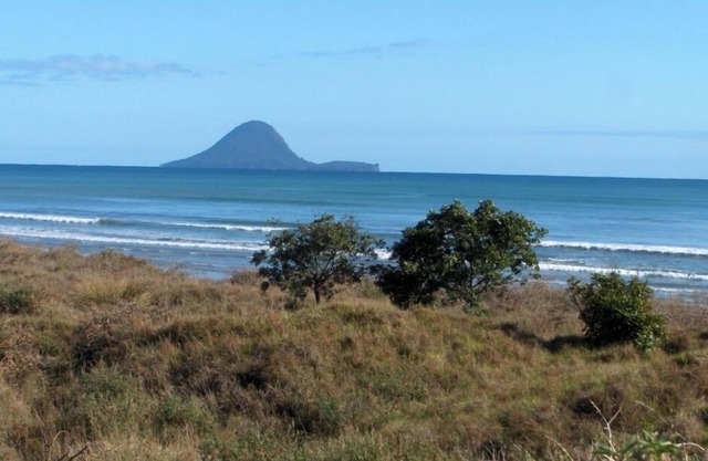 Iconic Kiwi Beach Bach