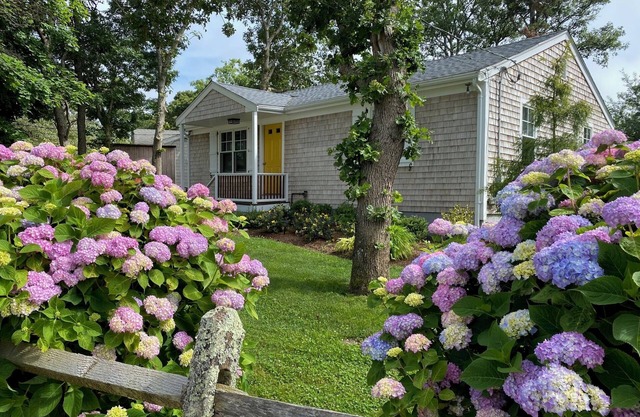 Maravillosamente actualizado, Walk to Town, Aire acondicionado central, Cocina a gas