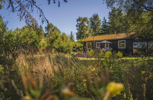Ideal holiday home for nature and peace