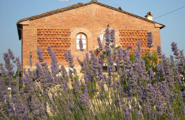 ¡Posición estratégica para visitar la Toscana!¡Hablamos francés e inglés!