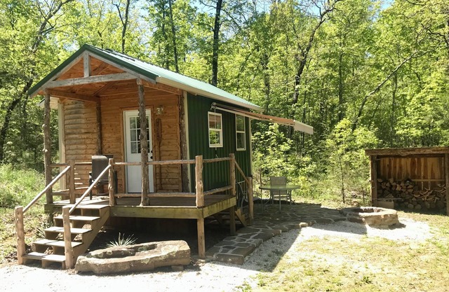 Idlewild tiny house in The Ozark's