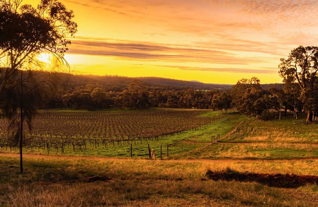 Idyllic Farmhouse overlooking Vineyard on 160 acres