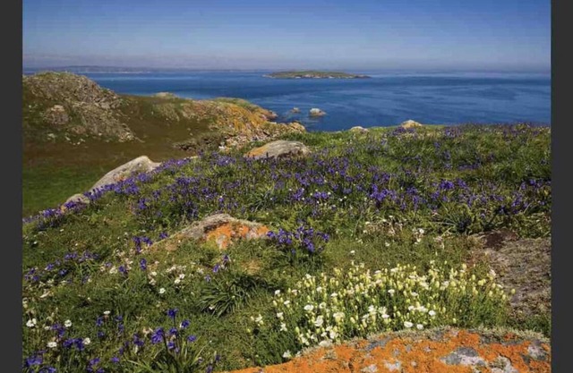 Idyllic holiday home-5 mins from the beach