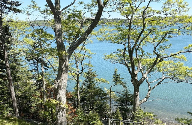 Idyllic Oceanfront Cottage in Maine!