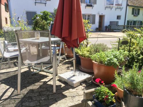 Idyllische Ferienwohnung am See
