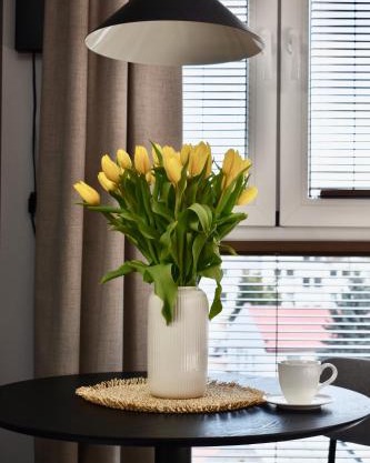 IGIS Apartament z tarasem na dachu