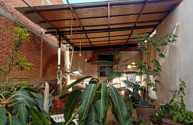 Iguana Co-living
