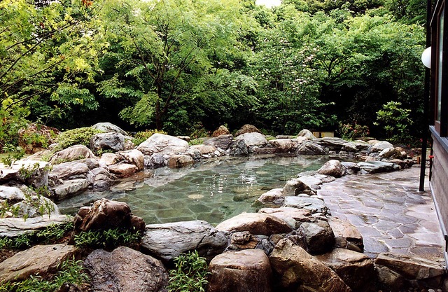 ikenoyamasou