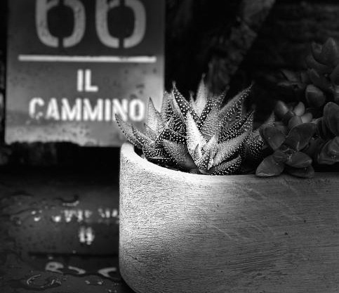 Il Cammino