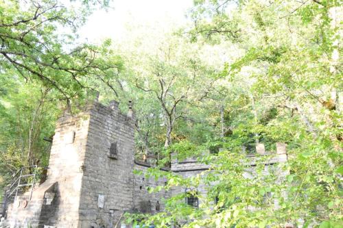 Il castello nel bosco