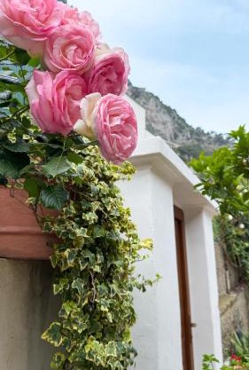 Il Cigno B&B