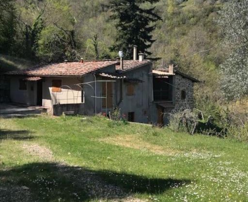 Il cuore nel bosco