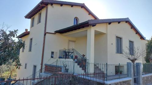 il Gallo