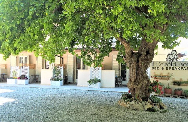 Il Gelso di Sofia B&B
