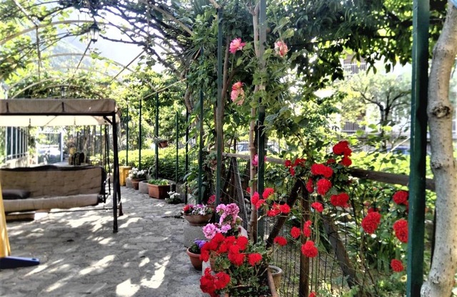 Il Gelso