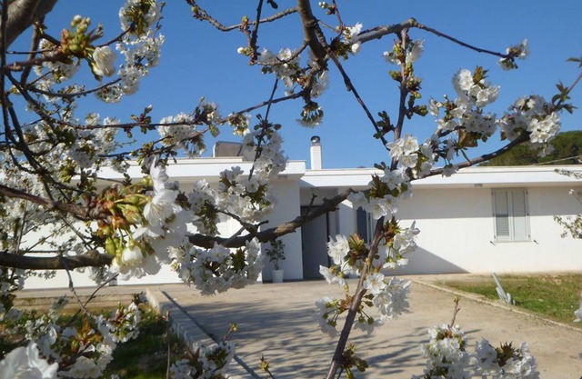 Il Giardino Dei Ciliegi