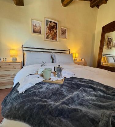 Il Ginepro Home