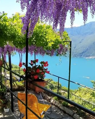 Il Glicine sul Lago